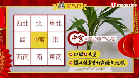 文昌位富貴竹|龍年風水提升考試運3. 西北文昌位擺放4支富貴竹